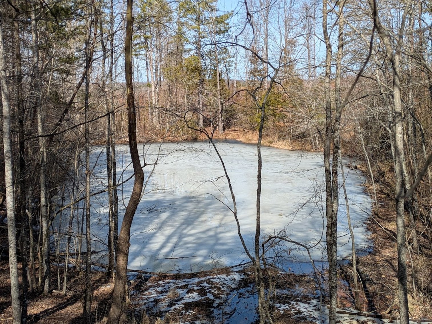 Image for Chatham VA