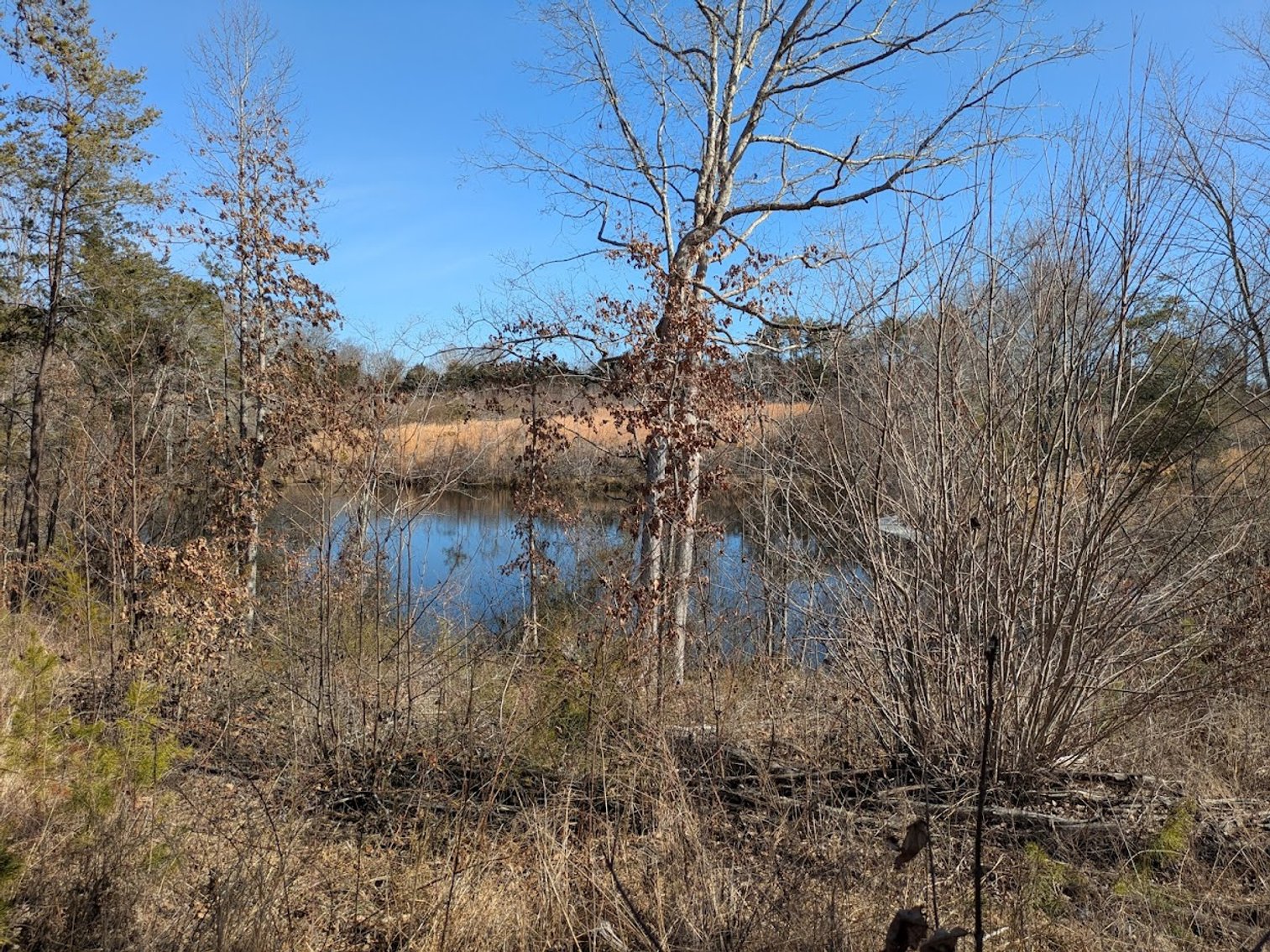 Image for Chatham VA