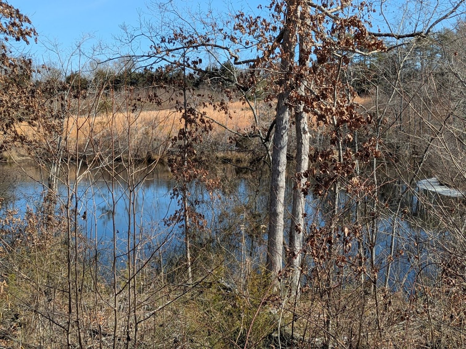 Image for Chatham VA