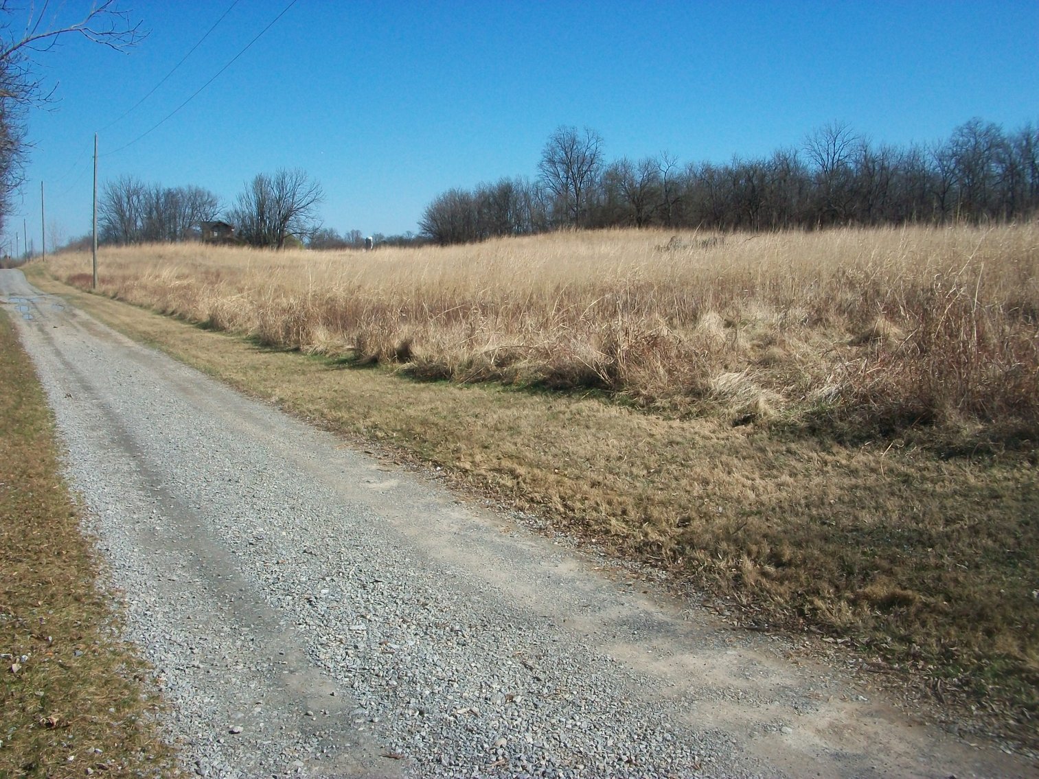 Image for Horizon Farm Credit - Kirkpatrick