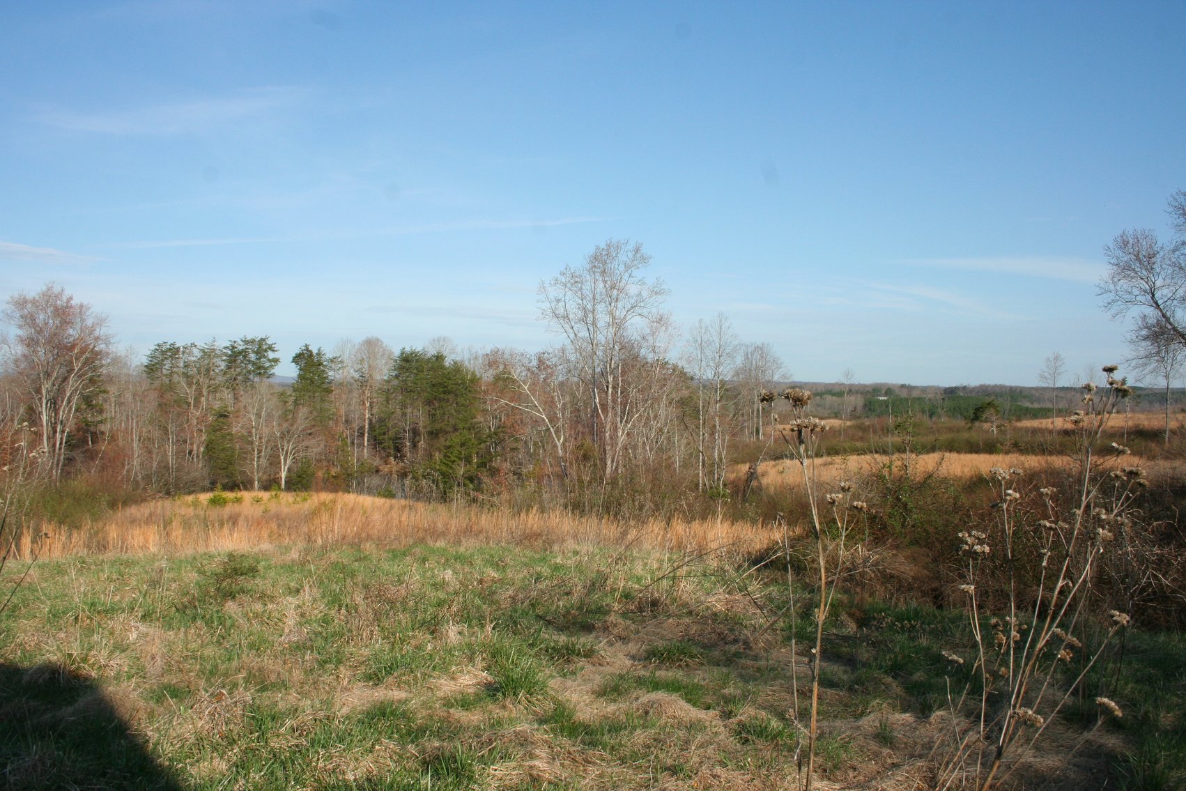 Image for Chatham VA