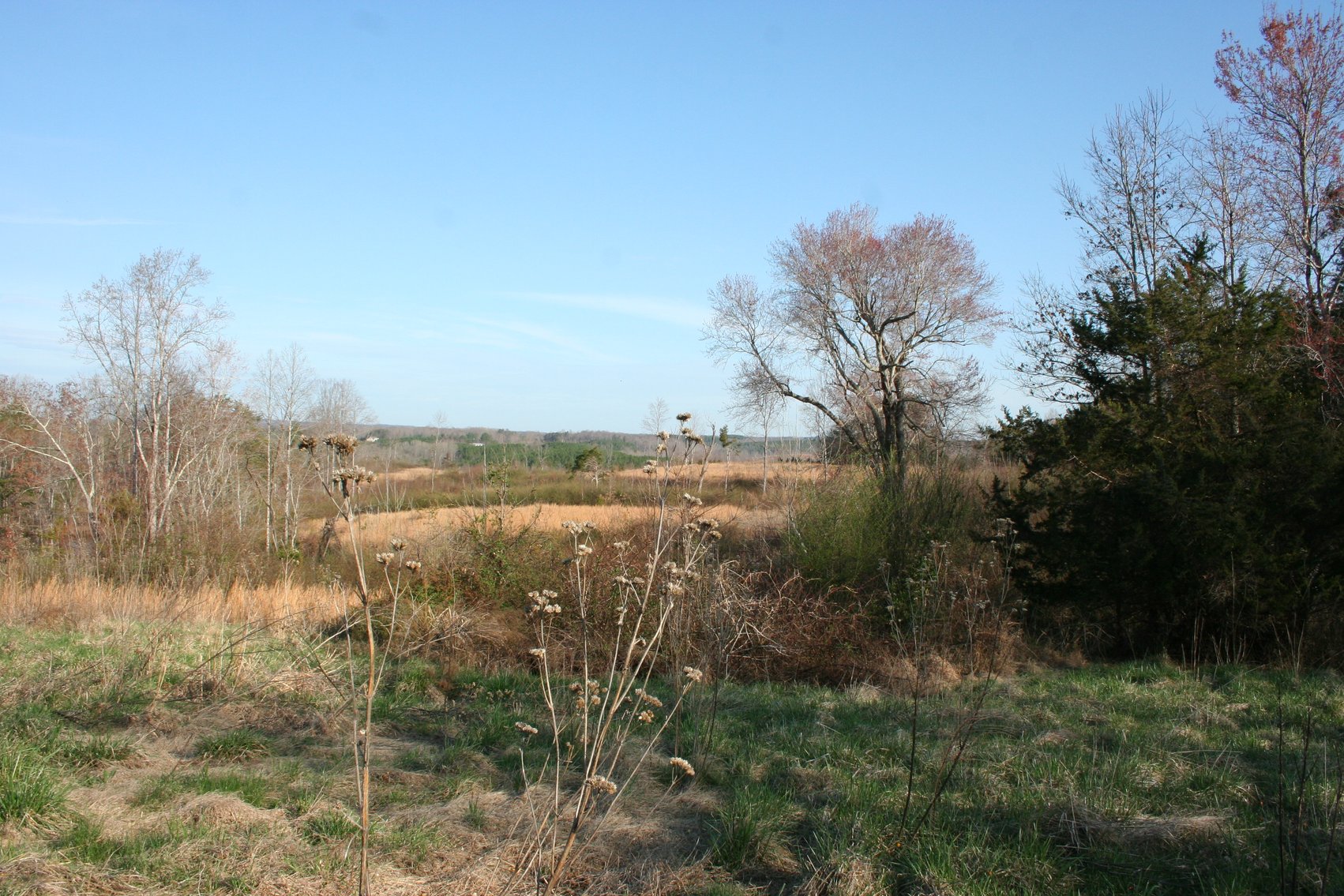 Image for Chatham VA