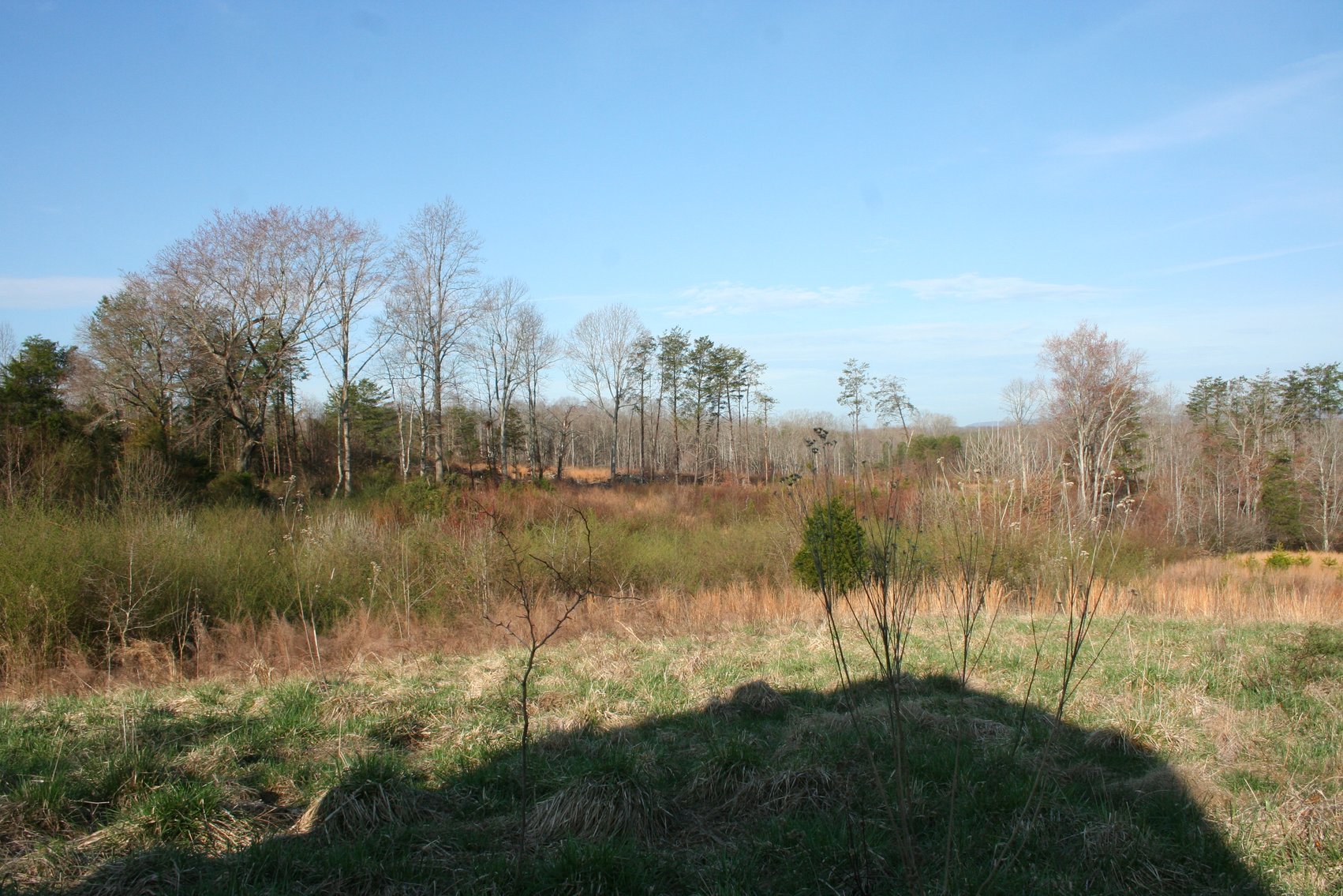 Image for Chatham VA