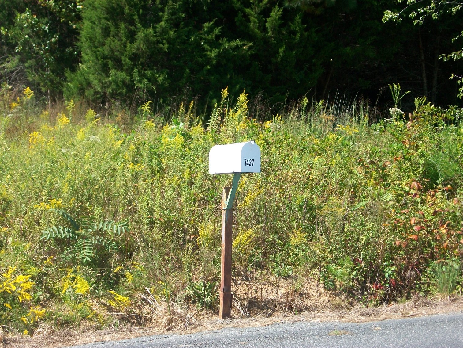 Image for Esmont, VA (Albemarle County)