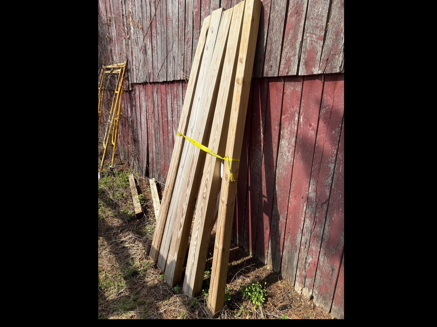 Image for Five timbers