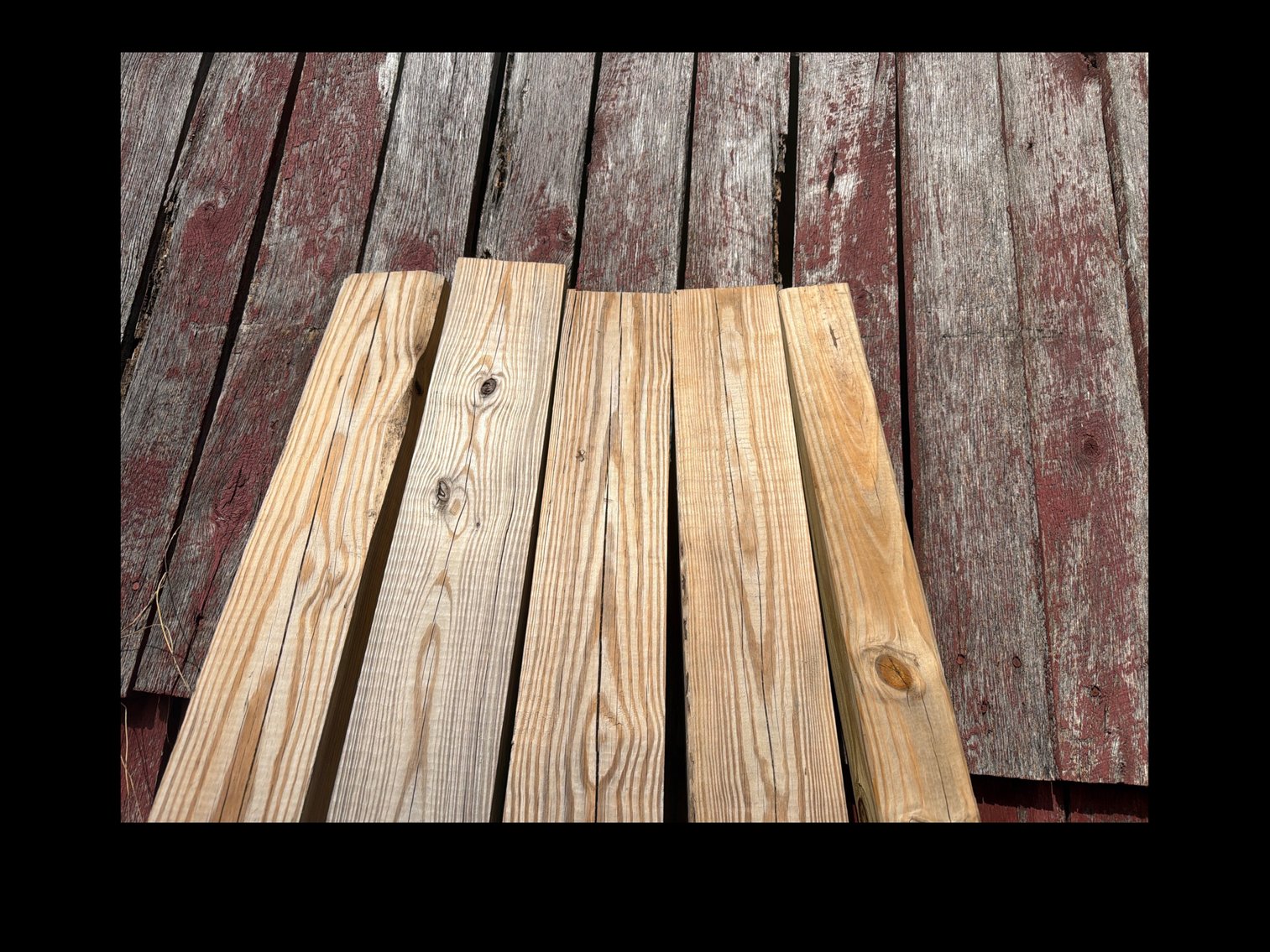 Image for Five timbers