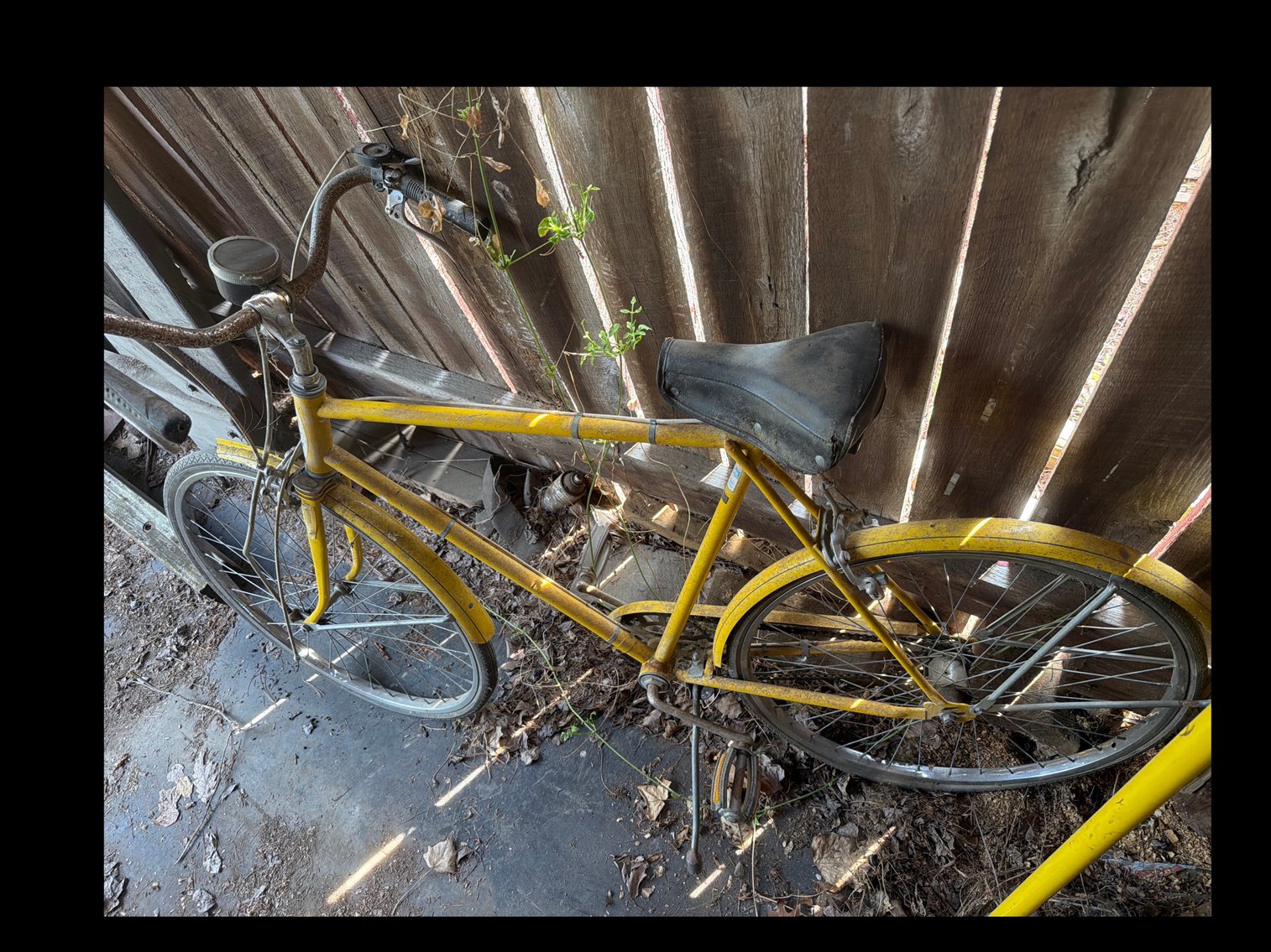 Image for Western flyer bicycle