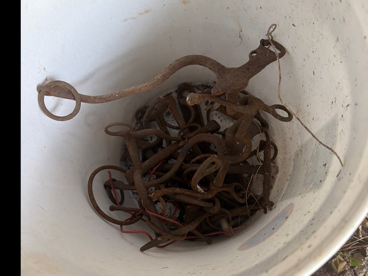 Image for Vintage horse, harness and bits