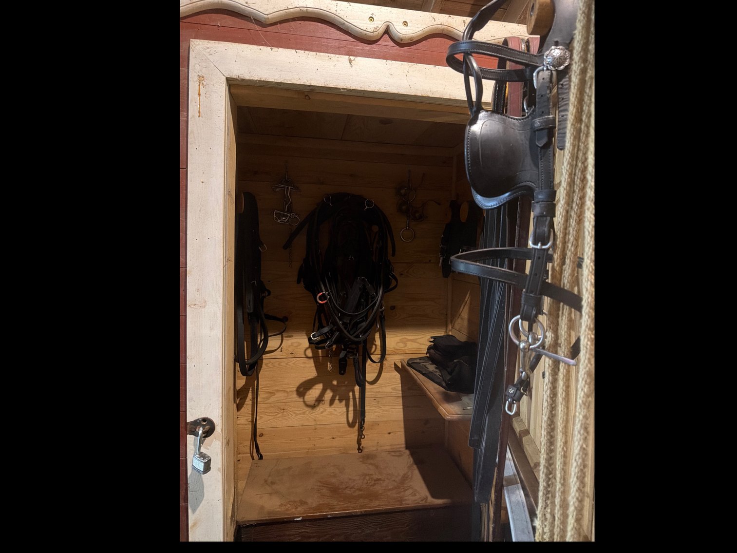 Image for Horse harnesses