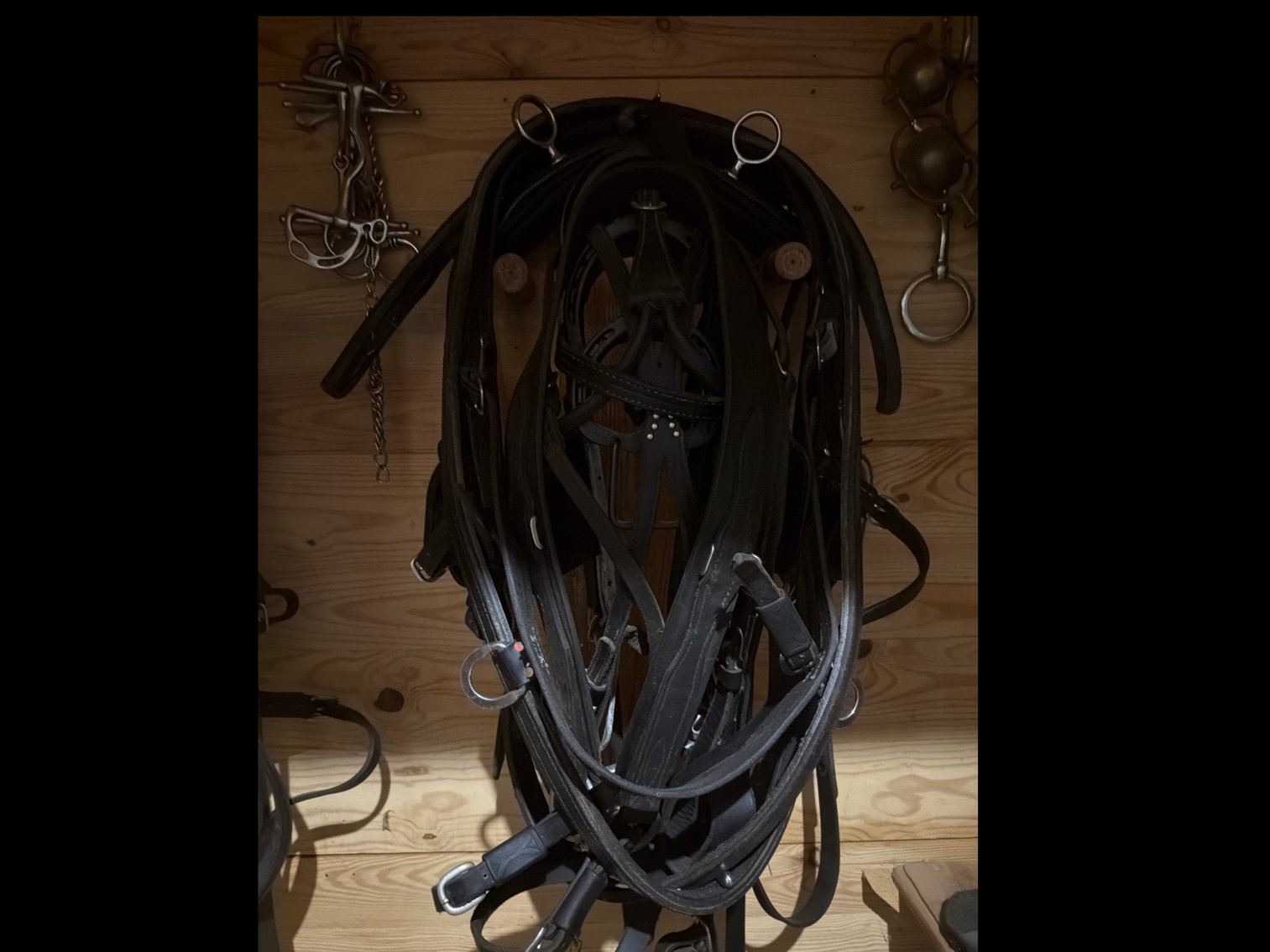 Image for Horse harnesses