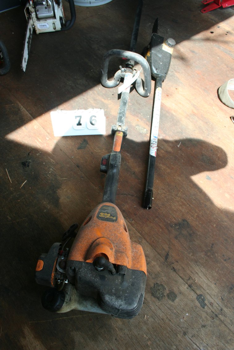 Image for Poulan Pro Pole Saw