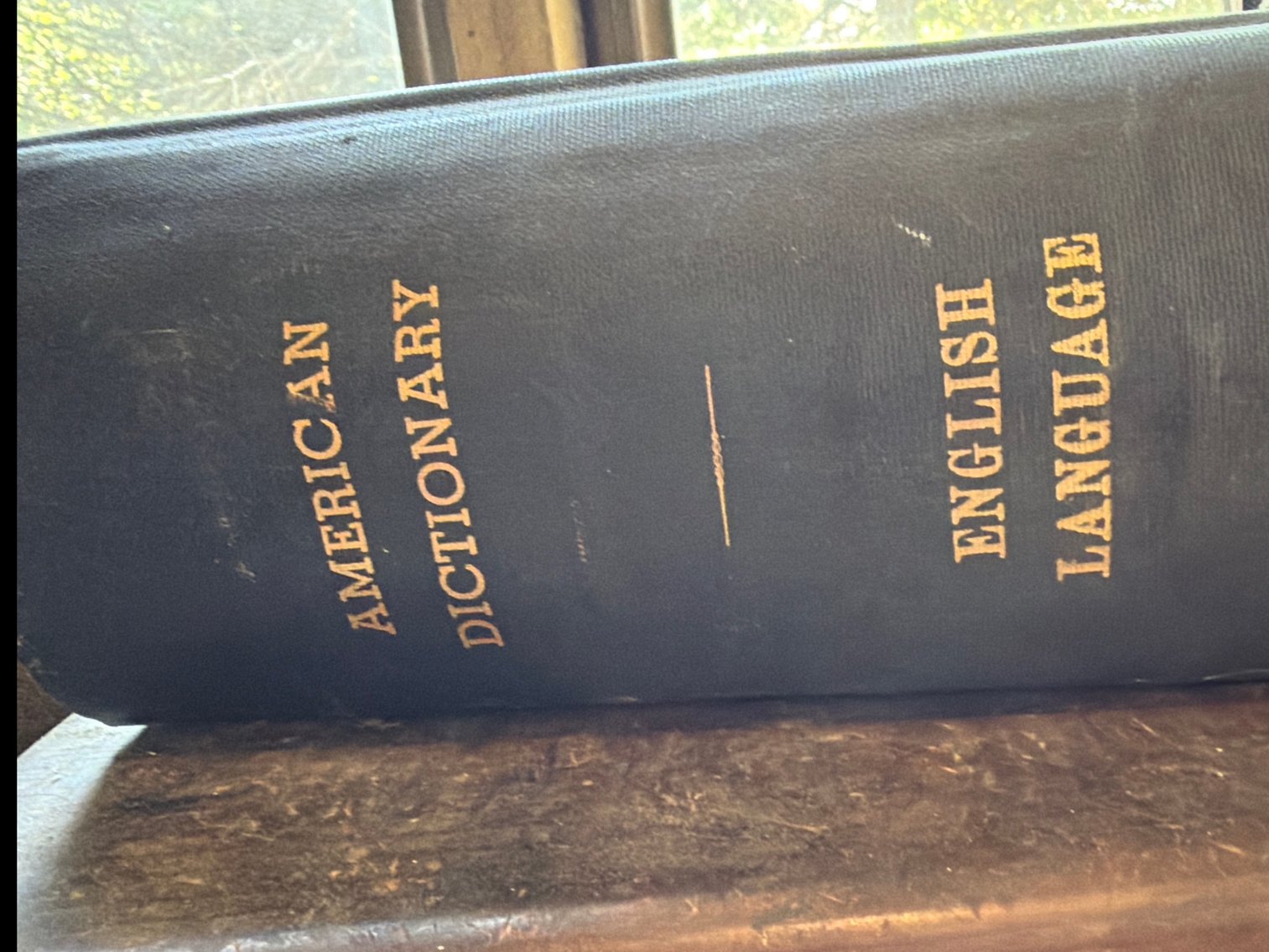 Image for American dictionary