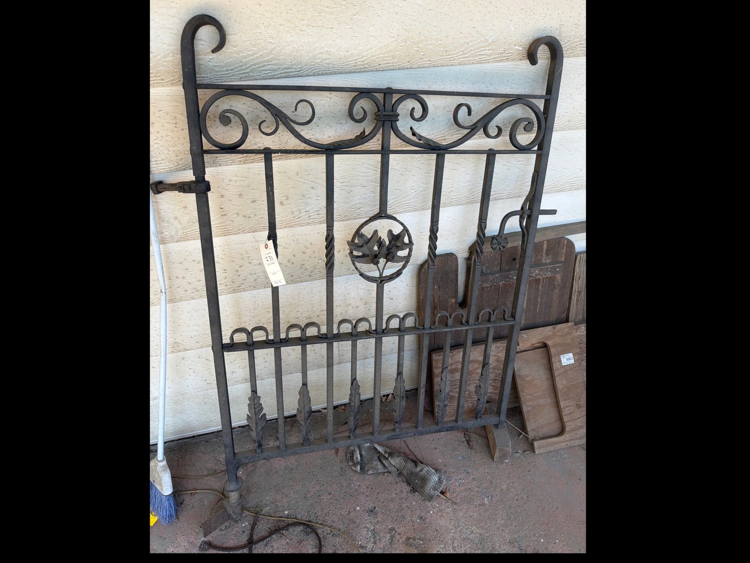 Image for Iron gate
