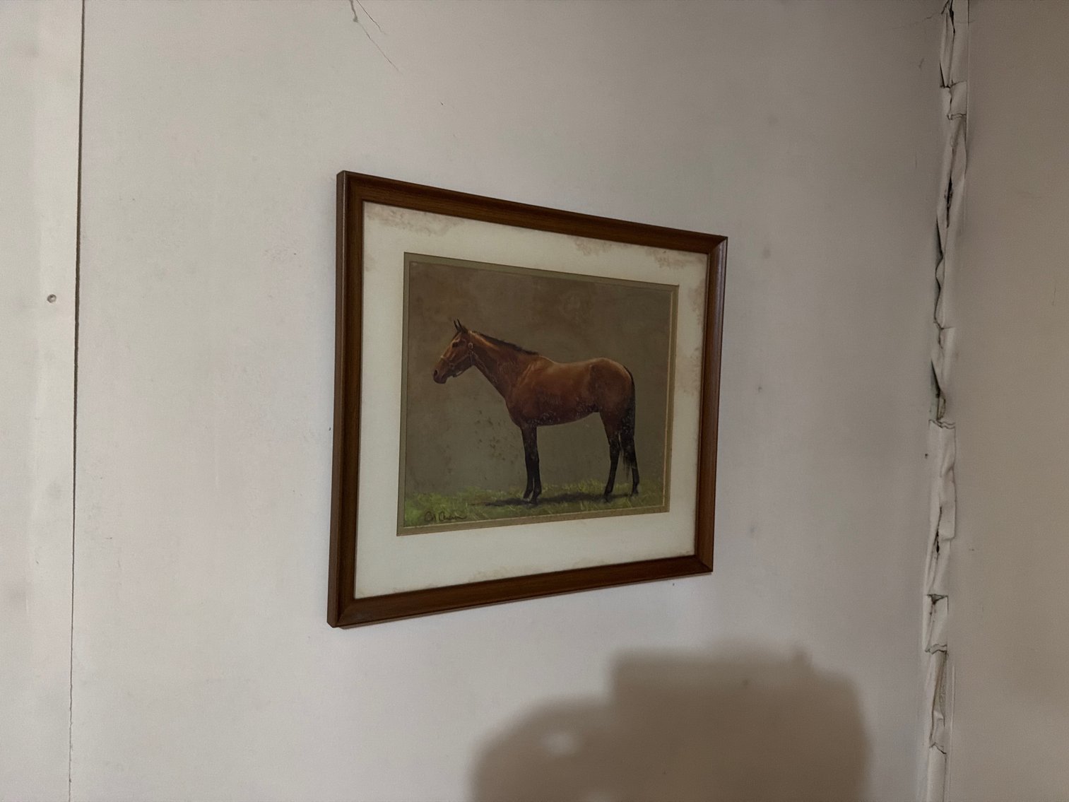 Image for Everything hanging on the wall in the living room