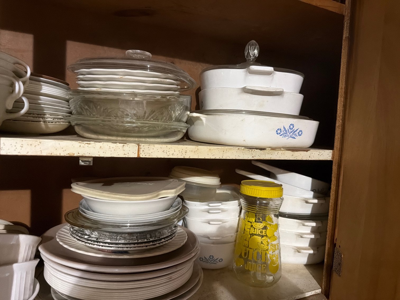 Image for Contents of shelf