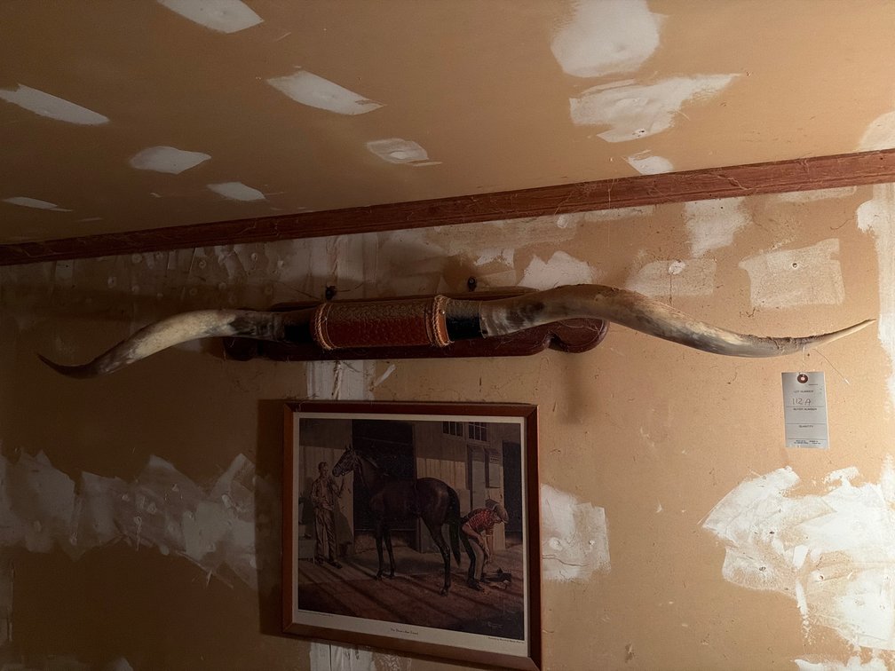 Image for Bull Horn