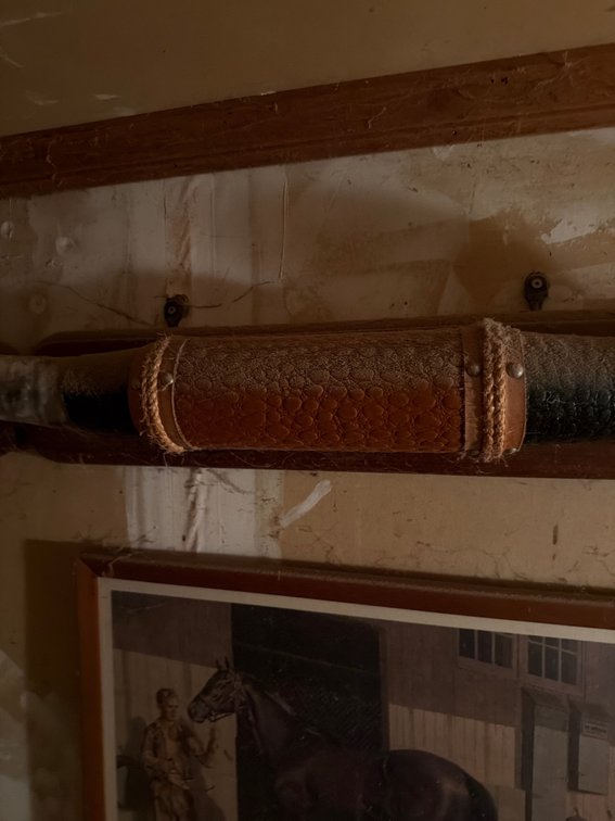 Image for Bull Horn