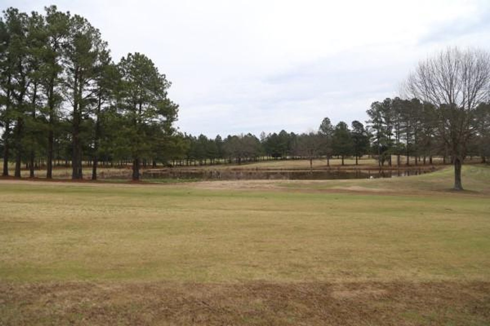 Image for The Golf Club at Star Fort