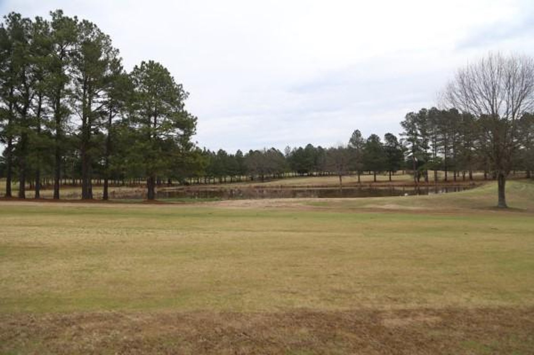 Image for The Golf Club at Star Fort