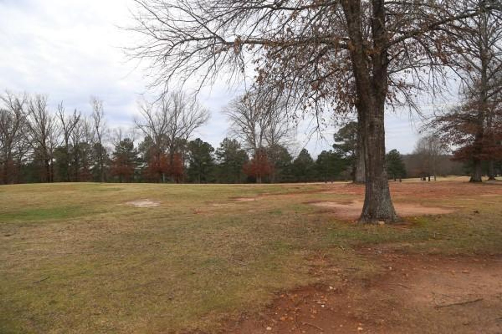Image for The Golf Club at Star Fort