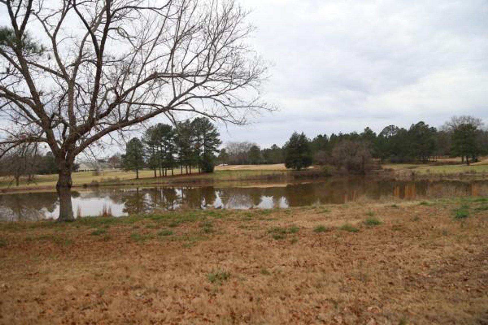 Image for The Golf Club at Star Fort