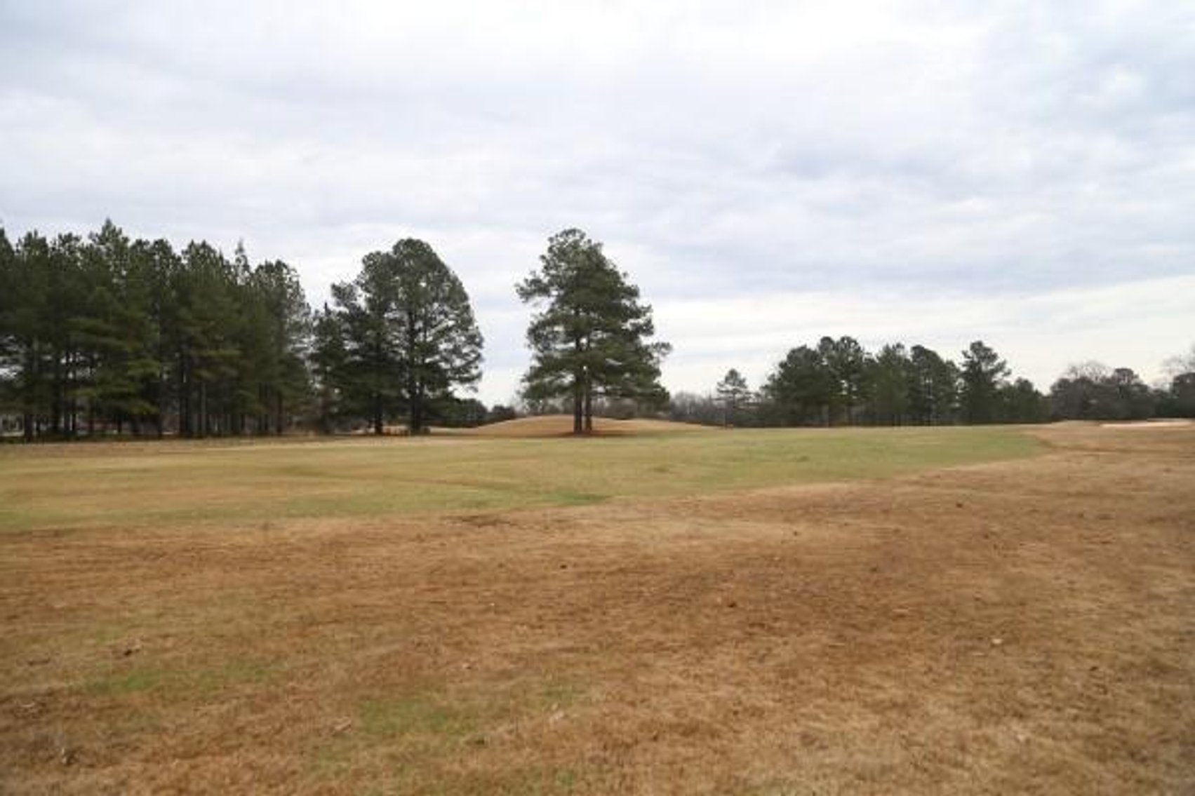 Image for The Golf Club at Star Fort