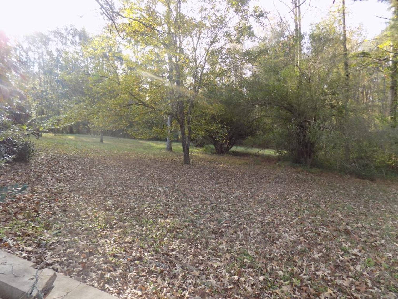 Image for Residential Home on 1.95+/- Acre Lot