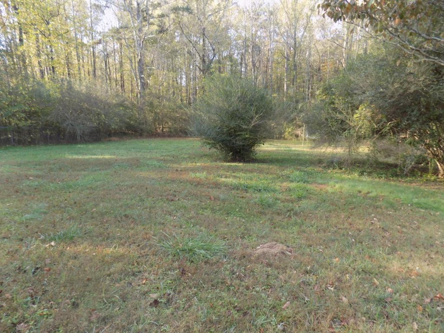 Image for Residential Home on 1.95+/- Acre Lot