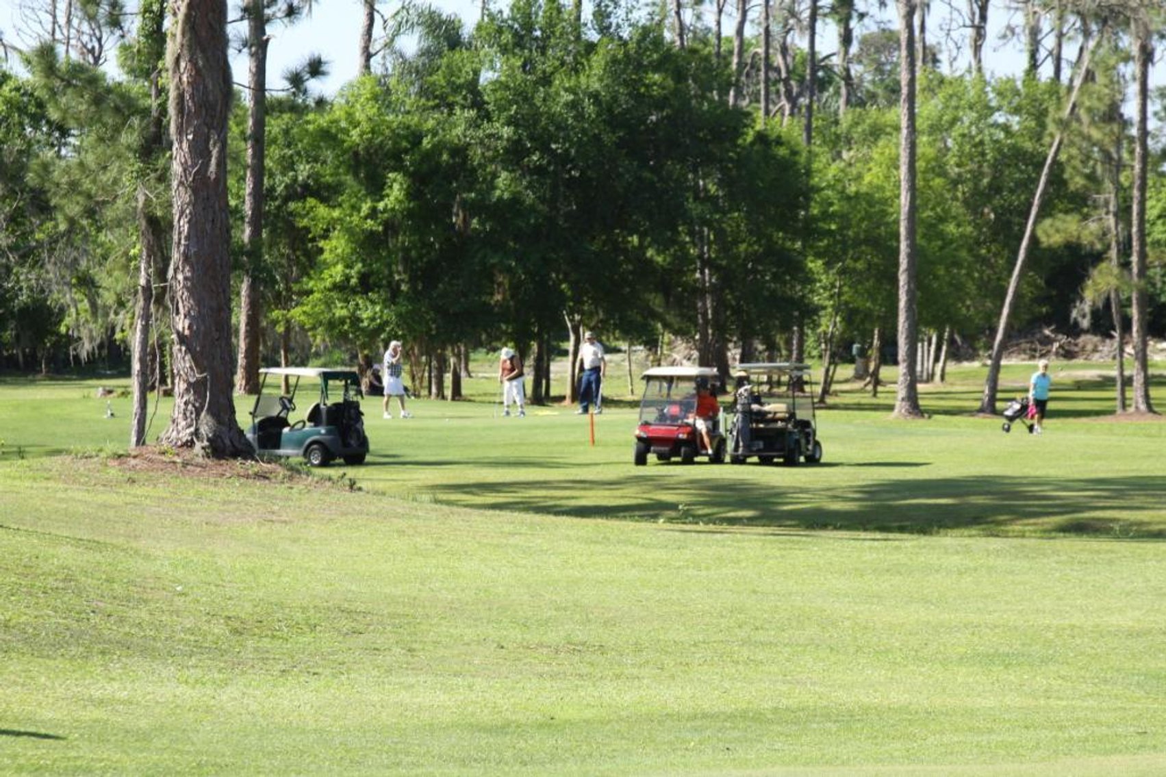 Image for Sebring Golf Links