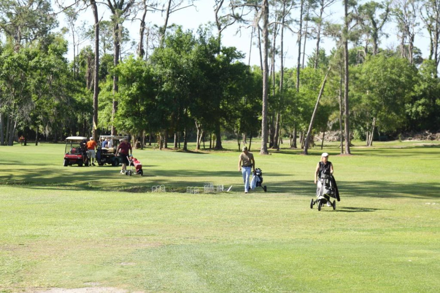 Image for Sebring Golf Links