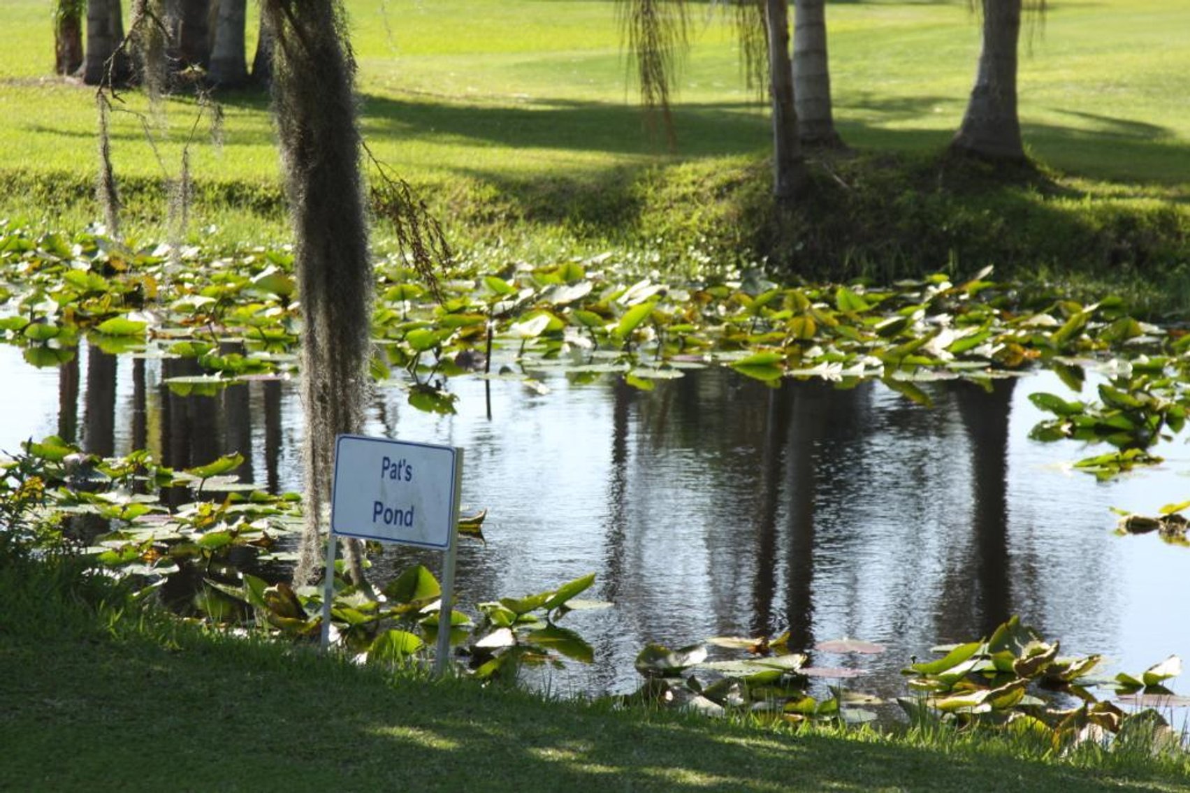 Image for Sebring Golf Links
