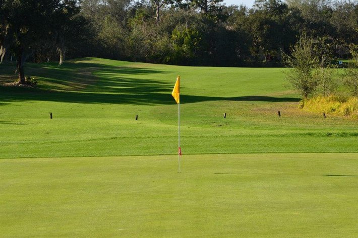 Image for Oakwood Golf Club