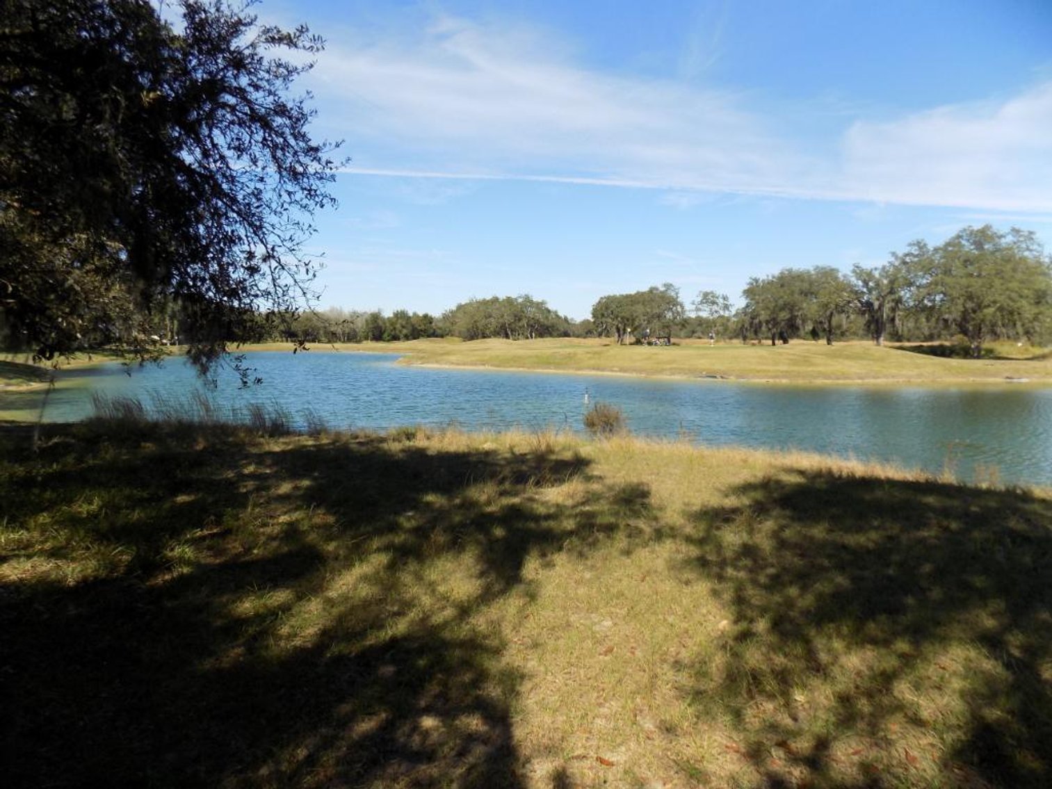 Image for Oakwood Golf Club