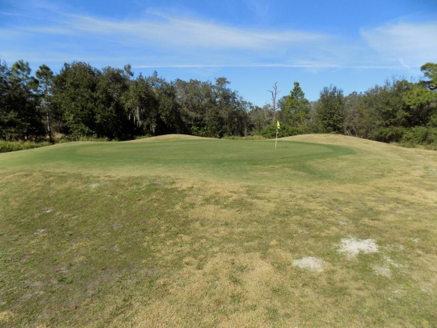 Image for Oakwood Golf Club