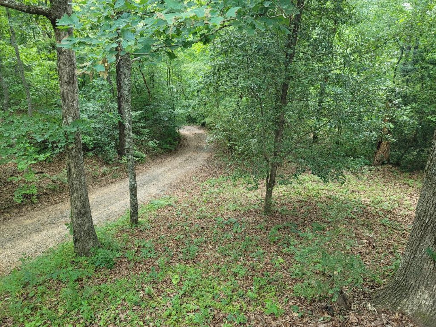 Image for Mountain Home in Blue Ridge, GA