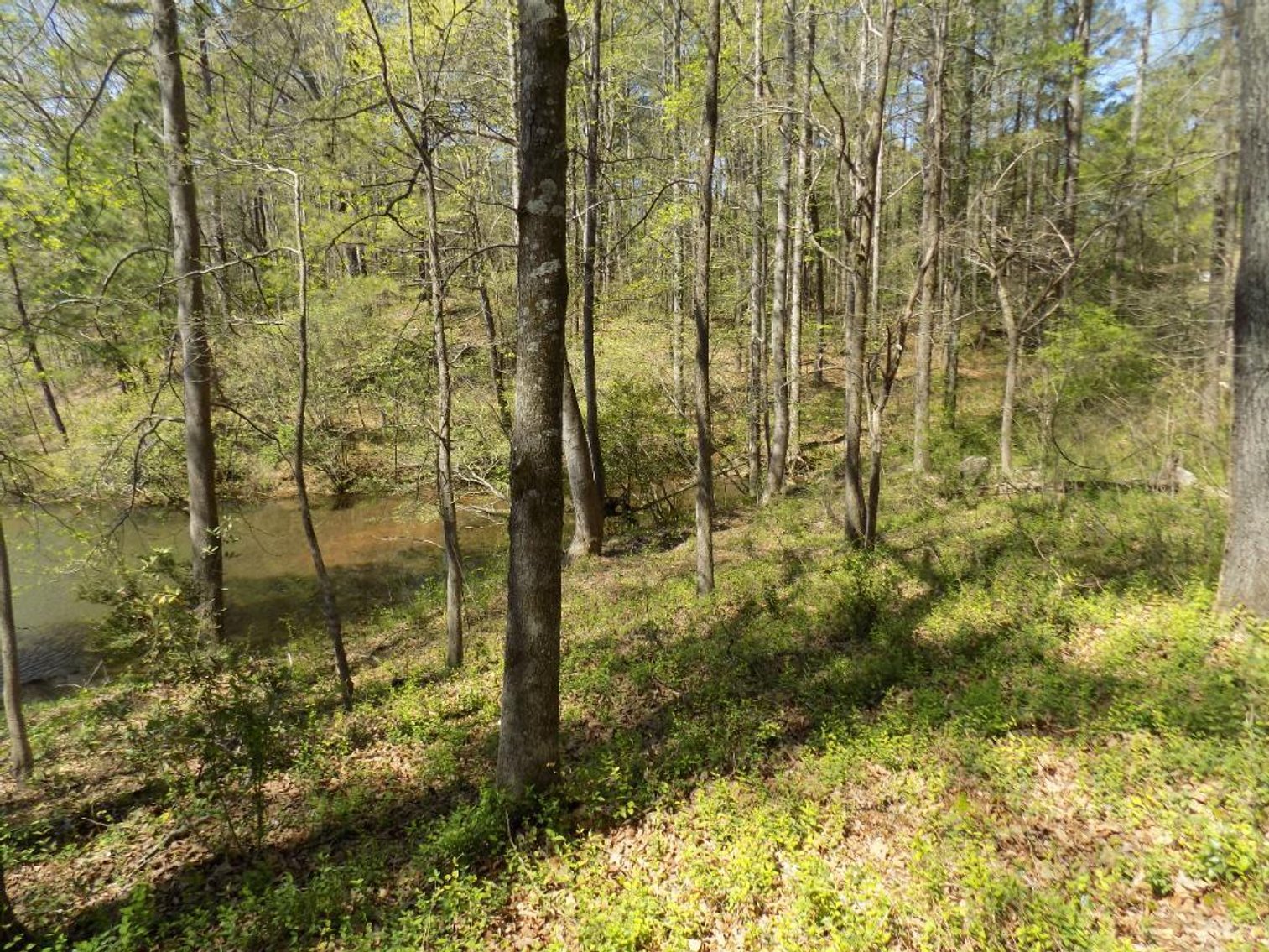 Image for 4+/- Acre Residential Lakefront Lot