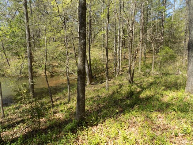 Image for 4+/- Acre Residential Lakefront Lot