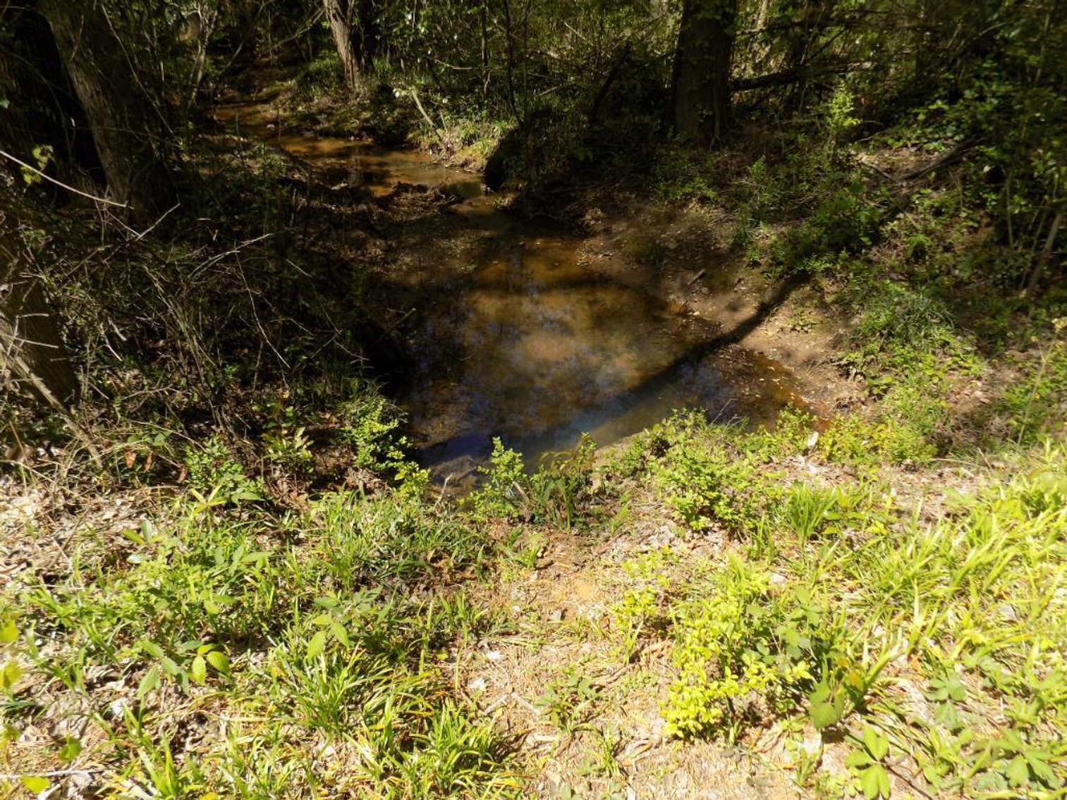 Image for 4+/- Acre Residential Lakefront Lot