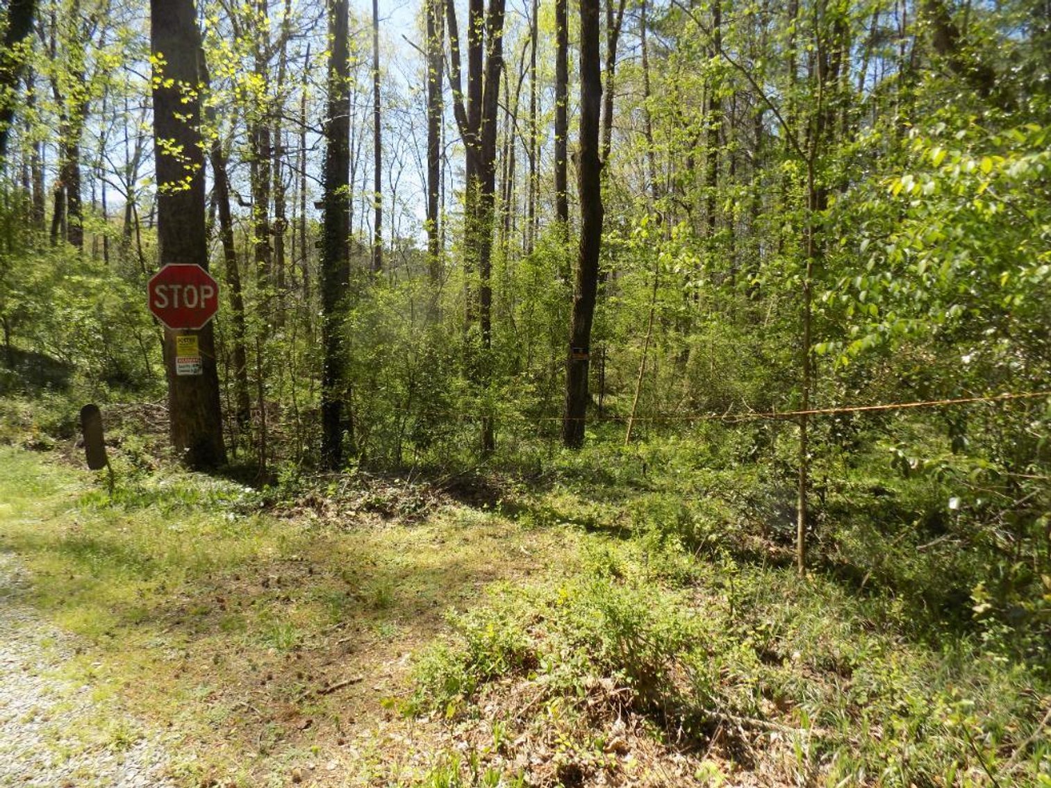 Image for 4+/- Acre Residential Lakefront Lot
