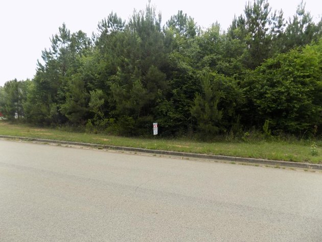 Image for Residential Lots in Flovilla and McDonough, GA