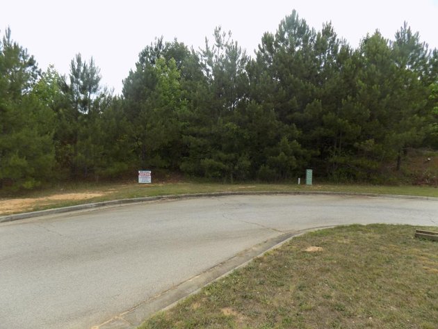 Image for Residential Lots in Flovilla and McDonough, GA
