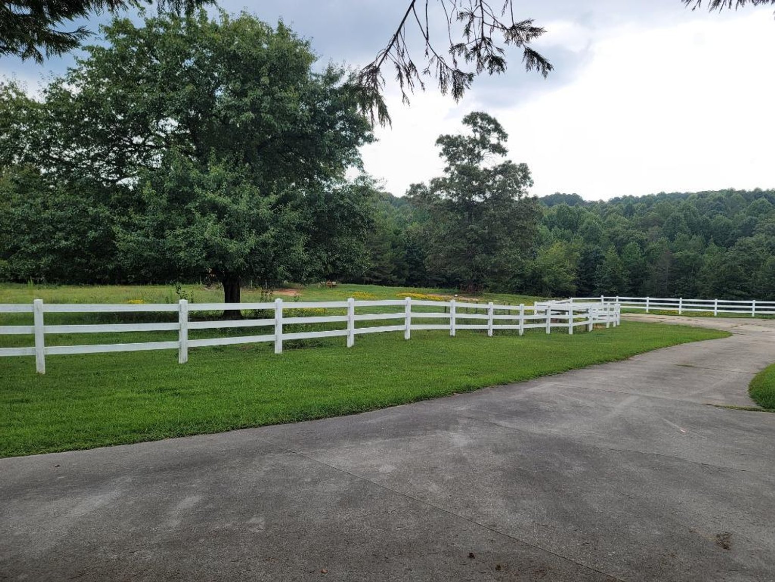 Image for Country Estate on 11.92 +/- Acres