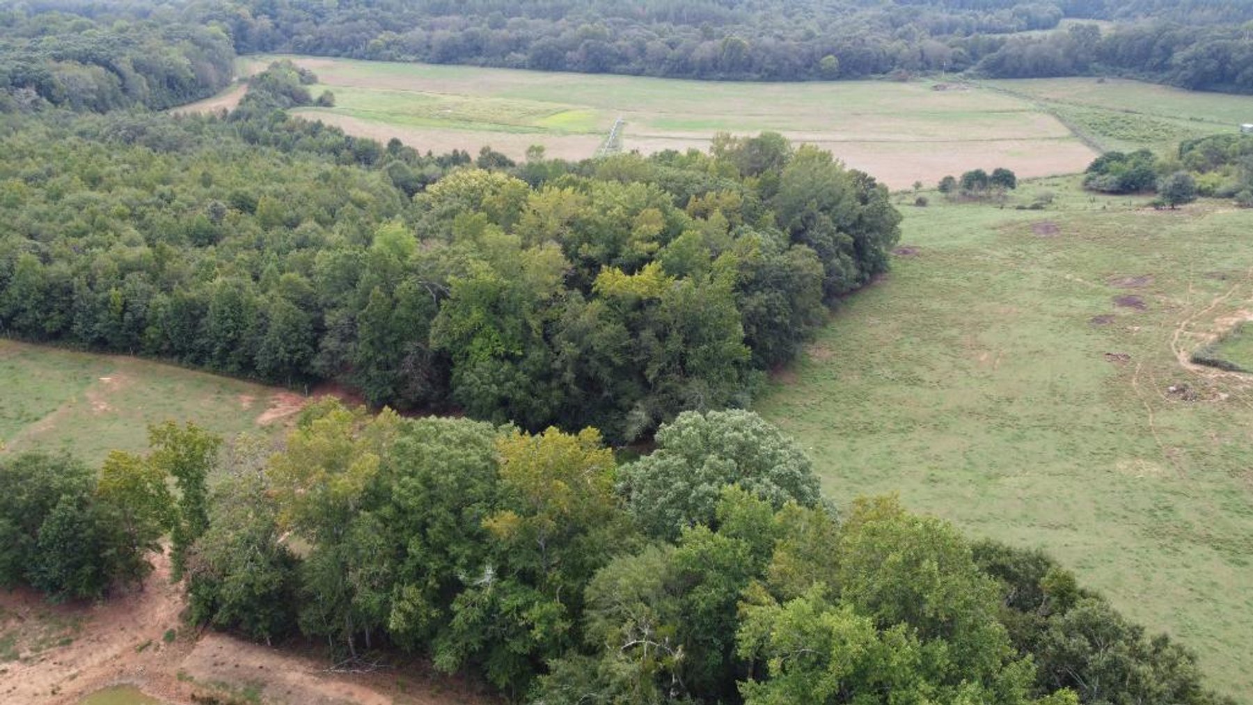 Image for 92.62 +/- Acre Farm with Multiple Houses and Structures in Hart County