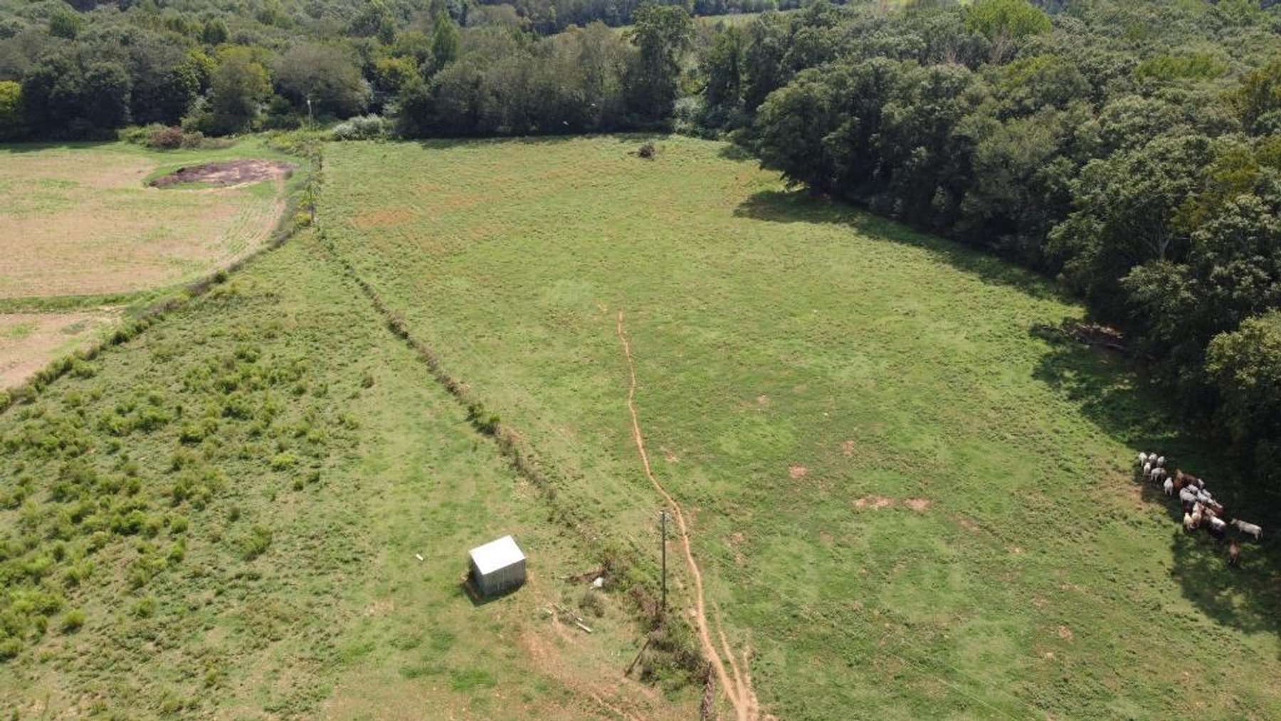 Image for 92.62 +/- Acre Farm with Multiple Houses and Structures in Hart County