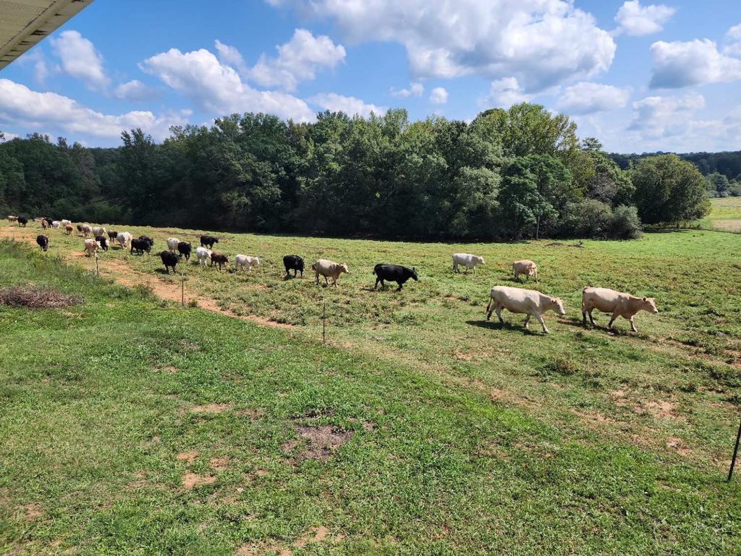 Image for 92.62 +/- Acre Farm with Multiple Houses and Structures in Hart County