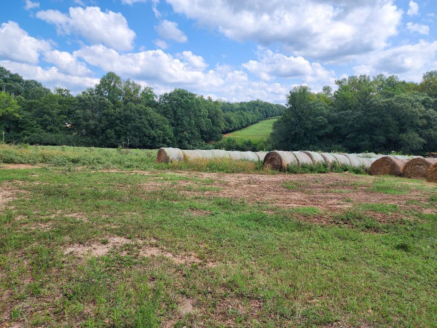 Image for 92.62 +/- Acre Farm with Multiple Houses and Structures in Hart County