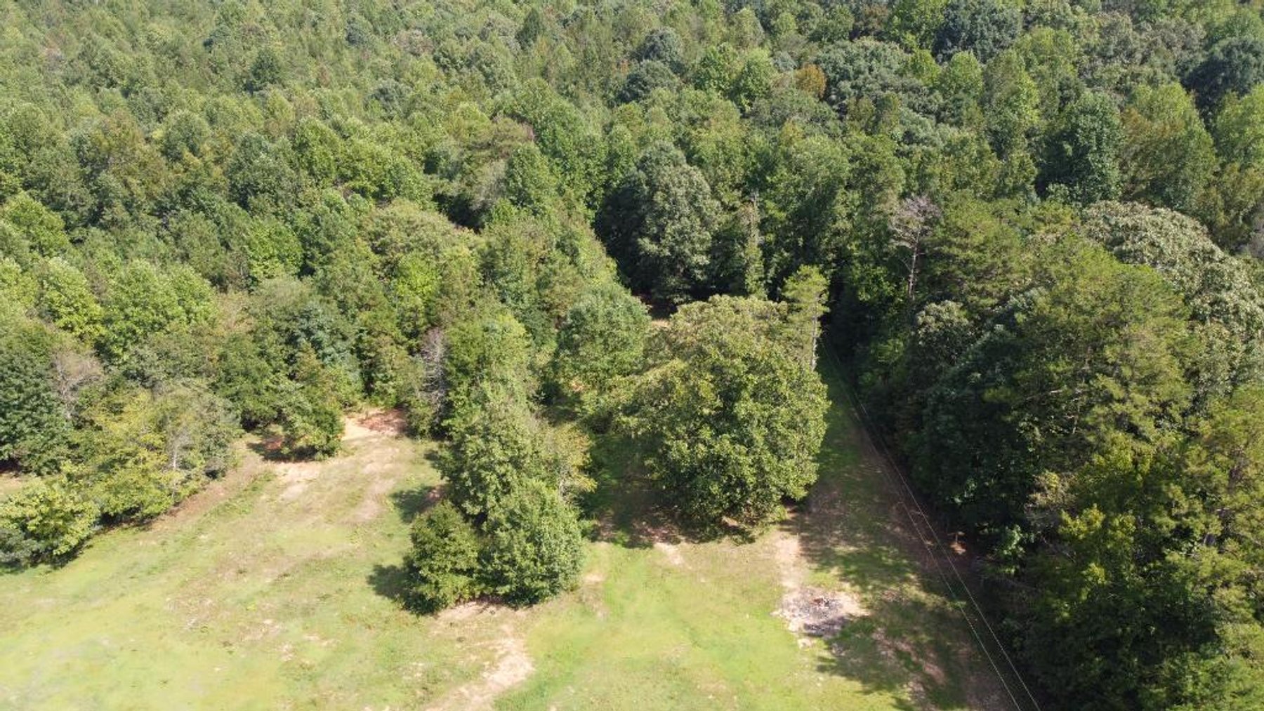 Image for Country Estate on 11.92 +/- Acres