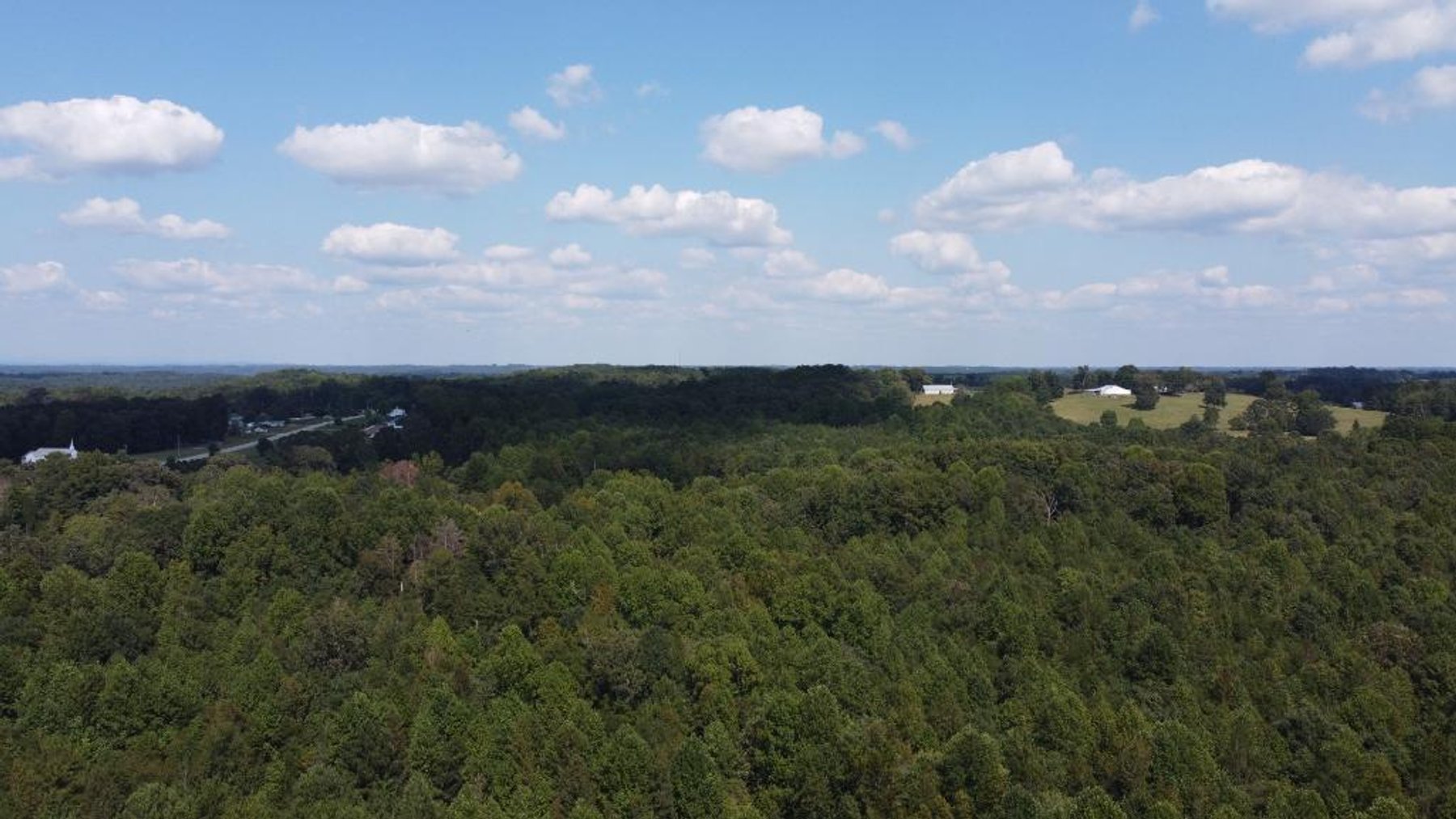 Image for Country Estate on 11.92 +/- Acres