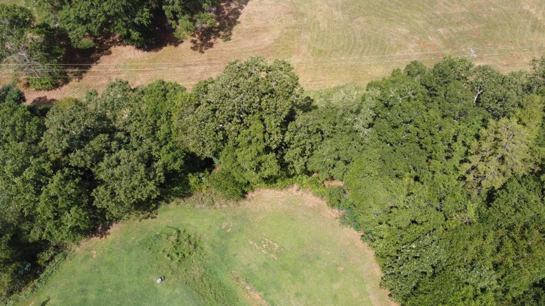 Image for 92.62 +/- Acre Farm with Multiple Houses and Structures in Hart County