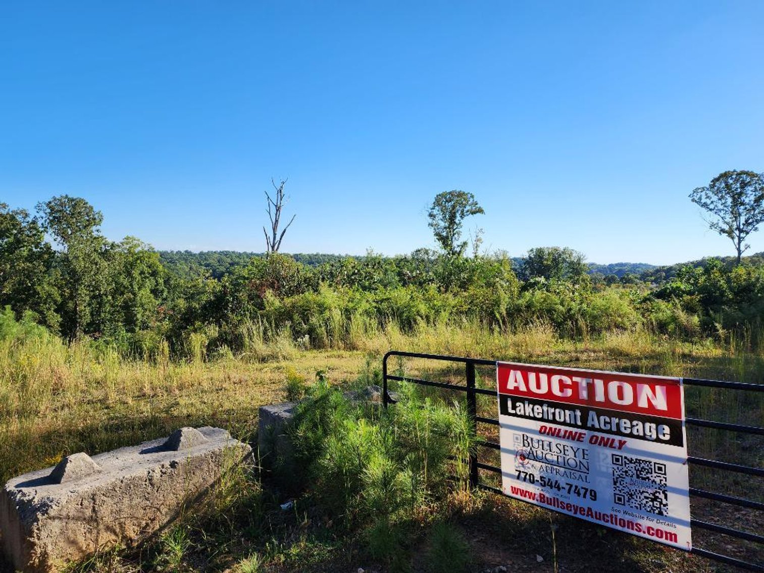 Image for 27.3 +/- Acres on Lake Lanier